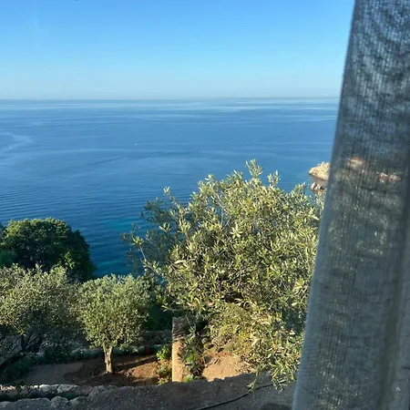 Casa Favelas Design Monaco